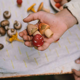 Mushroom Growe Holzpilze in Hand gehalten