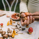 Kind am Spielen mit Mushroom Growe Holzpilzen von Grapat