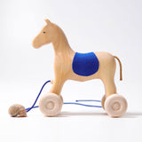 Nachziehtier | Pferd Holly