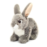 Hase sitzend von Hermann Teddy_Ansicht von vorne