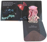 Mein Pop-up-Buch zum Staunen. Wer lebt im Meer? von Sandra Grimm_DK Verlag_Seitenansicht02