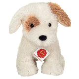 Hundewelpe Rollo von Hermann Teddy_Ansicht von vorne