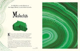 Wundervolle Welt der Natur von Ben Hoare_DK Verlag Dorling Kindersley_Seitenansicht 2