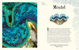 Wundervolle Welt der Natur von Ben Hoare_DK Verlag Dorling Kindersley_Seitenansicht 5