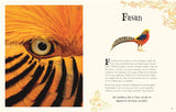 Wundervolle Welt der Tiere von Ben Hoare_DK Verlag Dorling Kindersley_Seitenansicht06