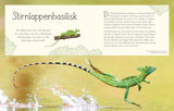 Wundervolle Welt. Wasser von Sam Hume_DK Verlag Dorling Kindersley_Seitenansicht05