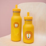 Edelstahl-Trinkflasche "Mr. Lion" für Kinder von Trixie_500 ml_Große und kleine Falsche "Mr. Lion"
