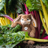 Schlenker-Hase Bommel von Steiff_28cm_im Feld