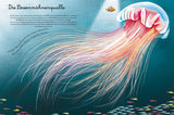 Das groβe Buch der Seetiere. Das kleine Buch der Seetiere von Cristina Banfi und Francesca Cosanti_White Star Verlag_Seitenansicht_01
