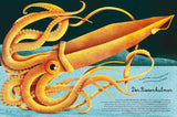 Das groβe Buch der Seetiere. Das kleine Buch der Seetiere von Cristina Banfi und Francesca Cosanti_White Star Verlag_Seitenansicht_06