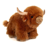 Hochlandrind von Hermann Teddy_Ansicht von vorne