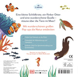 Mein Pop-up-Buch zum Staunen. Wer lebt im Meer? von Sandra Grimm_DK Verlag_Rückseite