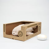 Moonie Einschlafhilfe Robbe Organic Sand in Verpackung