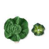 Mini Doudou & Beißring Grünkohl Kendall the Kale von Oli & Carol_04