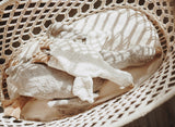 Große graue und kleine weiße Gans von Senger Naturwelt in Babykorb
