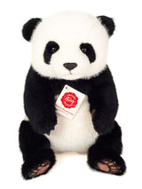 Panda sitzend von Hermann Teddy_Ansicht von vorne