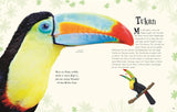 Wundervolle Welt der Tiere von Ben Hoare_DK Verlag Dorling Kindersley_Seitenansicht04