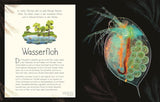 Wundervolle Welt. Wasser von Sam Hume_DK Verlag Dorling Kindersley_Seitenansicht03