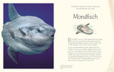 Wundervolle Welt. Wasser von Sam Hume_DK Verlag Dorling Kindersley_Seitenansicht04