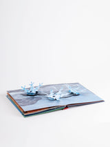 Pop-up-Buch "Das Wetter Pop-up-Buch" von Maike Biederstädt_Prestel Verlag_Buch liegend